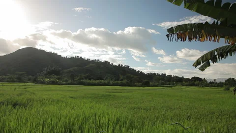 Panoramic View of Lush Green Field with Majestic Mountain Range in Background Stock Footage 221131882