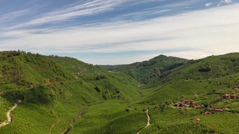 Panoramic View of Lush Green Forest Valley with Mountain Homes Under Blue Sky Stock Footage 337731977