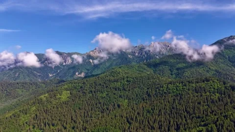 Panoramic View of Lush Green Forests and Misty Mountains in China Vídeo Stock 347186183