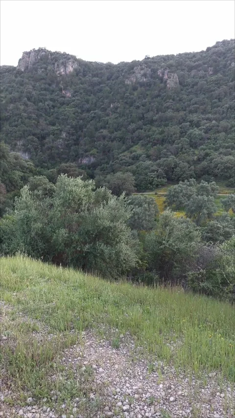 Panoramic view of lush green mountains under a cloudy sky Video stock 333531045