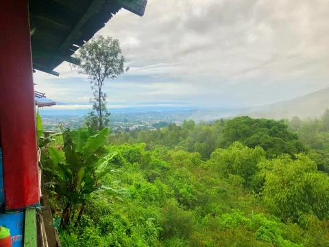 Panoramic view of a lush green tropical valley under a misty sky Fotos de archivo