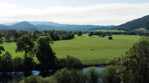A panoramic view of a lush, green valley with cows scattered across the fields. Stock Footage 287114295