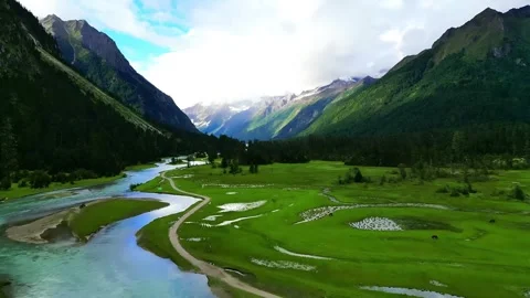 Panoramic View of Lush Green Valley with River and Snow Peaks Qinghai Tibet Stock Footage 339305536
