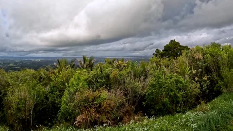 Panoramic View of the Lush Rainforest of the Iconic Waitakere Ranges from P.. Stock-Footage 284392337