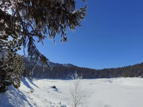 Panoramic view - Lying valley and forest covered with snow - Italian alp Stock Footage 72784748