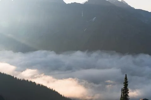 Panoramic view of majestic mountain range shrouded in clouds and lush trees. Stock Photos