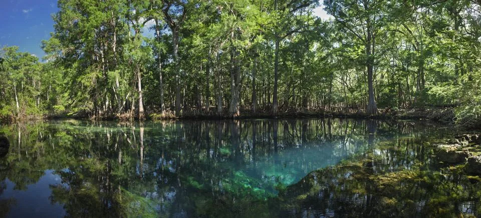 Panoramic view of manatee spring state park in florida Stock Photos