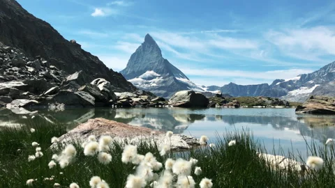Panoramic view of Matterhorn reflected in Riffelsee lake surrounded by cotton fl Vidéo 229457716