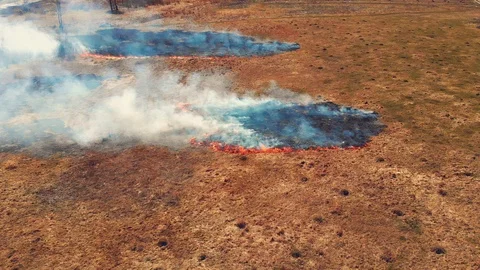 Panoramic view of a meadow burning Stock Footage 93132760