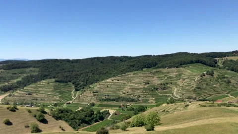 Panoramic view of meadow hills and vineyards at Kaiserstuhl, Germany, 4K Stock Footage 146283486