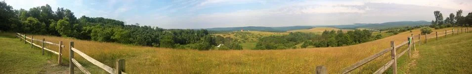 Panoramic view of meadow Foto stock
