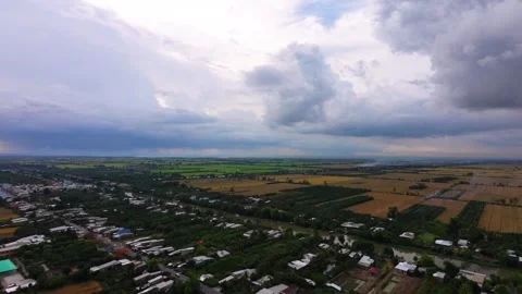 Panoramic view of Mekong Delta countryside before heavy rain in harvest seaso Video stock 337756960