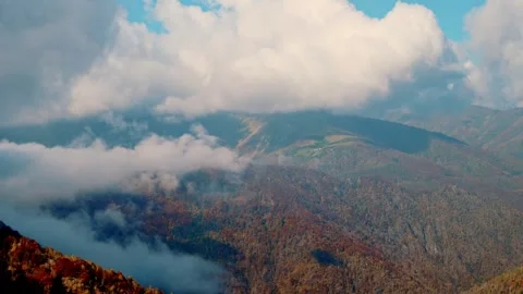 Panoramic view of misty alpine mountains with autumn forest and clouds in valley Stock Footage 324960667