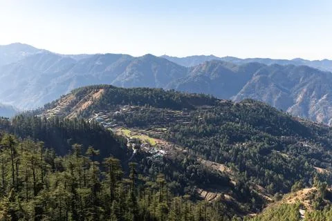 Panoramic view of misty mountain valley with dense pine forest landscape Foto stock