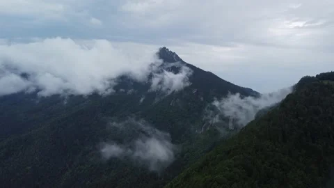 A panoramic view of a misty mystical alpine landscape with dense forests. Stock-Footage 211814315