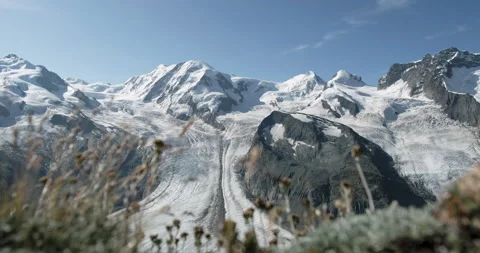Panoramic view of Monte Rosa Gletscher with alpine grass in foreground Stockbeeldmateriaal 201511072