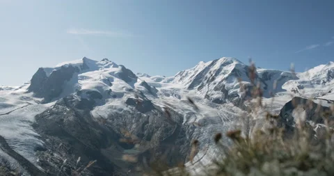 Panoramic view of Monte Rosa Gletscher with alpine grass in foreground 스톡 동영상 201520112