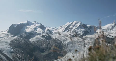 Panoramic view of Monte Rosa Gletscher with alpine grass in foreground Stockbeeldmateriaal 201520392