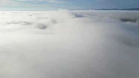 Panoramic view of the morning thick wavy fog hanging over the forest Stock Footage 292761896