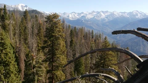 Panoramic view from Moro Rock in Sequoia forest national park, Northern Stock Footage 167195323