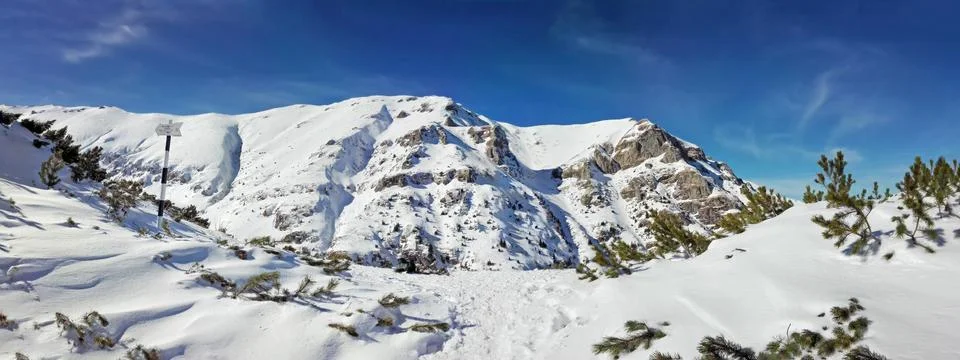 Panoramic view of Mount Bucegi on winter Stock Photos