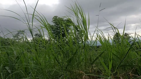 Panoramic View of Mount Merapi Slope in Cloudy Weather – Indonesia Nature Stock Footage 321323013
