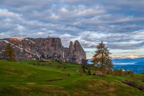 Panoramic view of Mount Sciliar on the Seiser Alm in the Dolomites in South.. Stock Photos