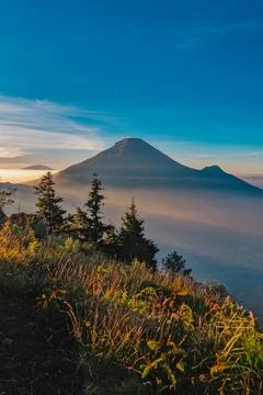A panoramic view of Mount Sindoro set against a golden-blue sky at sunrise 库存照片