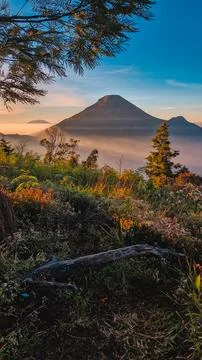 A panoramic view of Mount Sindoro set against a golden-blue sky at sunrise 库存照片