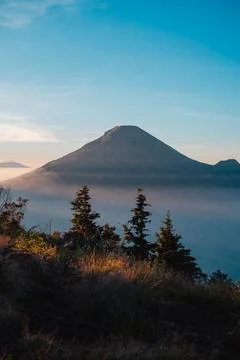 A panoramic view of Mount Sindoro set against a golden-blue sky at sunrise 库存照片