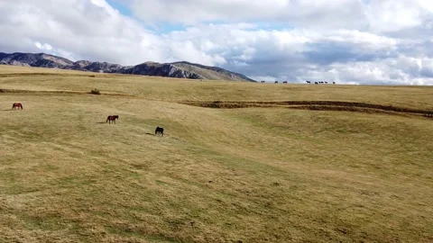Panoramic view of mountain meadow with rocks behind Stock Footage 167701443