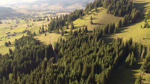 Panoramic view of mountain nature pointing down towards forest and log house Stock Footage 218479247
