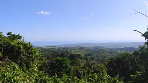Panoramic View From Mountain Peak Overlooking the Sea Stock Footage 334635923
