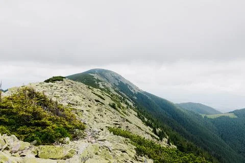 Panoramic view of the mountain range. Carpathians, Ukraine Stock Photos
