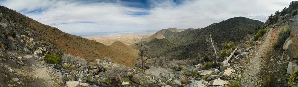 A panoramic view of a mountain range with a few trees and a rocky hillside Foto stock