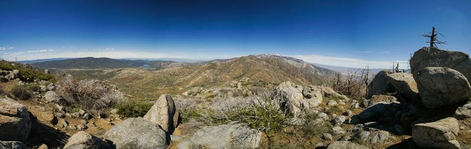 A panoramic view of a mountain range with a small tree in the foreground Stock Photos