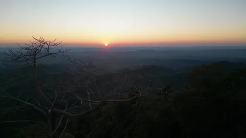 Panoramic view of mountain range sunset with silhouette bare tree in foregrou Stock Footage 345579043