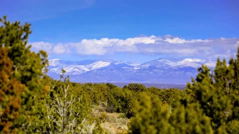 Panoramic View of Mountain Range through Juniper Trees Stock Footage 311492086