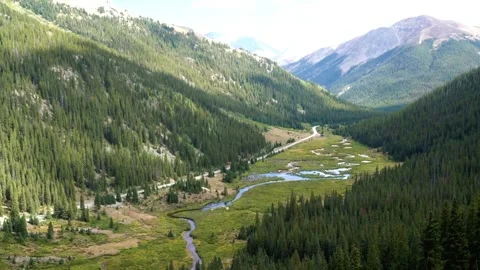 Panoramic View of Mountain Valley Landscape with Evergreen Trees and Meadow Stock Footage 311654393