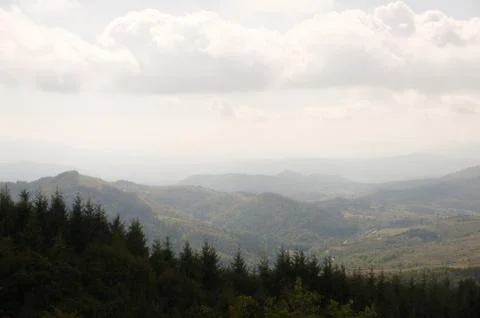 Panoramic view of mountains and forest Stock Photos