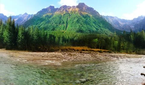 Panoramic view of mountains and forests near the mountain river. Stock Photos