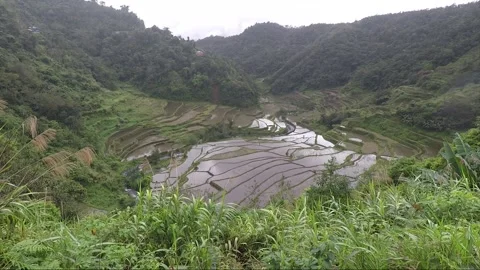 Panoramic view of the mountains and rice terraces in Banaue, Luzon, Philippines Stock Footage 147039959