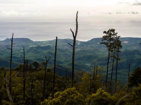 Panoramic view of the mountains and trees of the Sierra Maestra around La Gra Stock Photos
