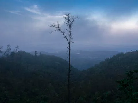 Panoramic view of the mountains and trees of the Sierra Maestra around La Gra Stock Photos