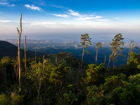 Panoramic view of the mountains and trees of the Sierra Maestra around La Gra Stock Photos