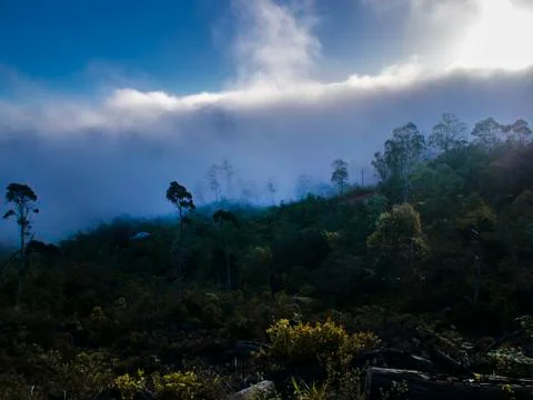 Panoramic view of the mountains and trees of the Sierra Maestra around La Gra Stock Photos