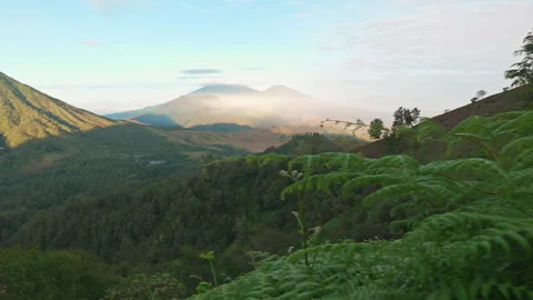Panoramic View of Mountains and Tropical Nature on Java Island Stock Footage 317820308