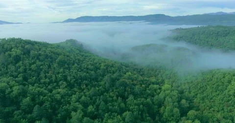 Panoramic view of the mountains covered with dense forest in the Stock Footage 73397354