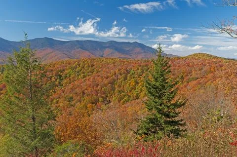 Panoramic View of Mountains in the Fall Stockfoto's