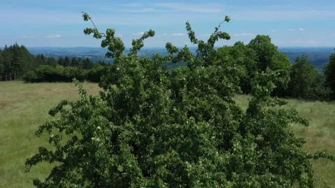 Panoramic view of the mountains Stock Footage 144164479